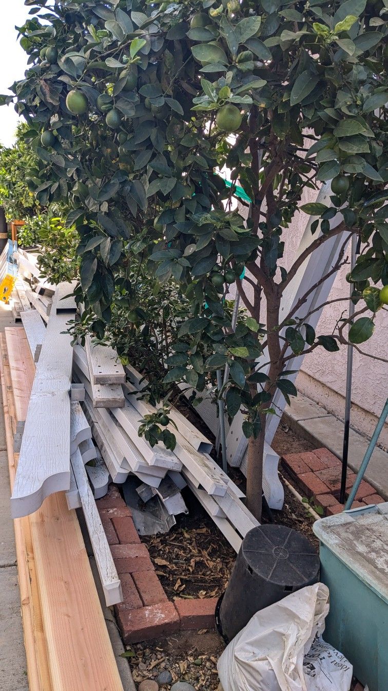 Aluminum Trellises (removed from house)