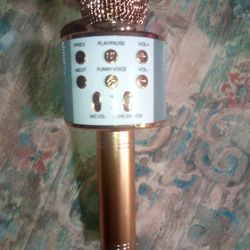 Beautiful Microphone Just For You!!! Hurry Hurry