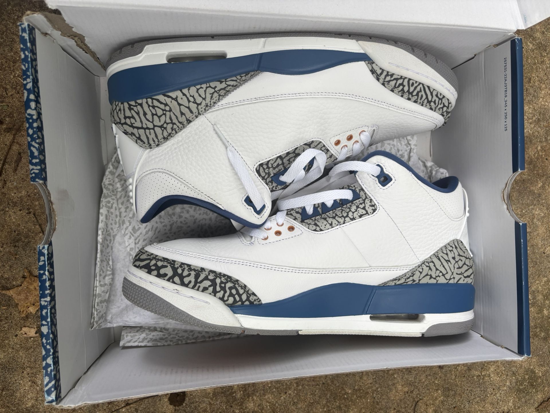 Jordan 3s