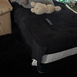 Twin Bed  And Box Spring Comfy 