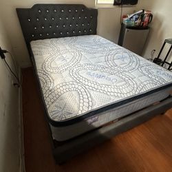 Queen Size Mattress Pillow Top New 12"