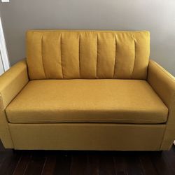 Lightly Used Sleeper Loveseat Sofa