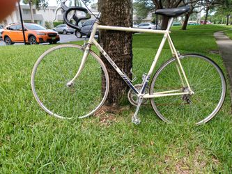 1980 Motobecane