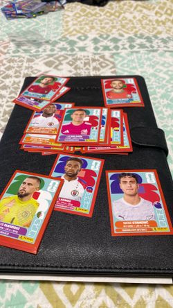 fifa WORLD CUP  stickers
