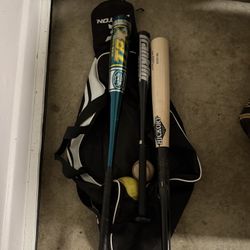 Baseball bat with balls.