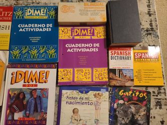 Lot of Spanish lesson books, worksheets, dictionaries, laminated reference guides, childrens