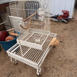 Bird Cages 