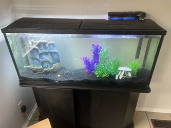 55 Gallon Fish Tank And Stand