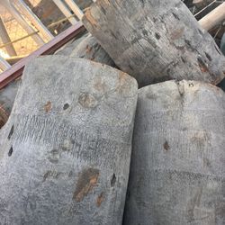 FREE PALM TREE TRUNKS DOWNEY PICO RIVERA NORWALK 