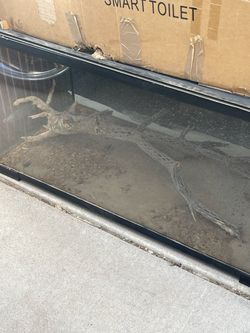 Reptile Tank