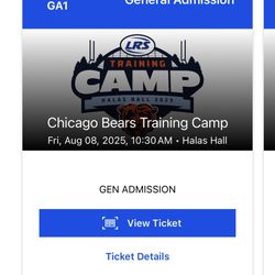 One Bears/Dolphins Training Camp ticket 8/8/25