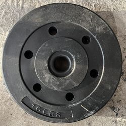 10 Lbs Weights 