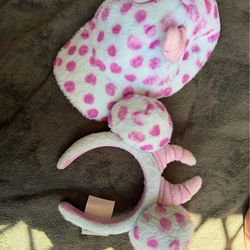 Disneyland hat and ears