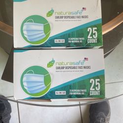 Earloop Disposable Face Masks