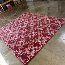 300$ Area Rug For $40