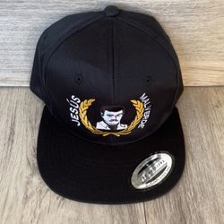 Snapback Hat$20