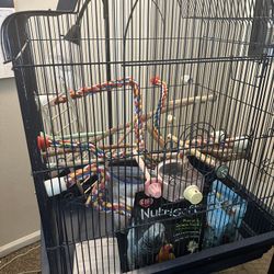 Bird cage & Bird accessories 