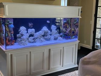Custom Acrylic Fish Tank/ Acrylic Enclosure