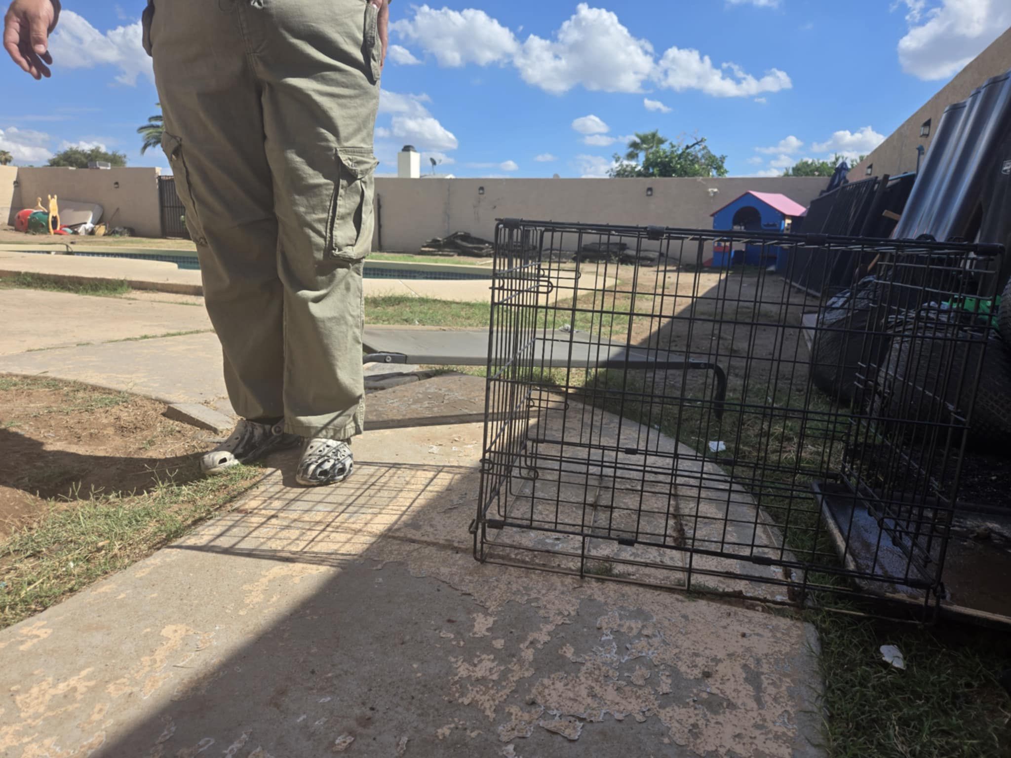 Dog Cage