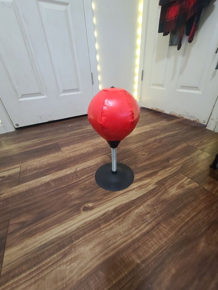 Speed Punching Bag