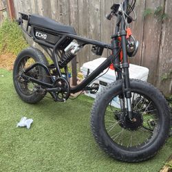 Echo Dual Drive E-Bike