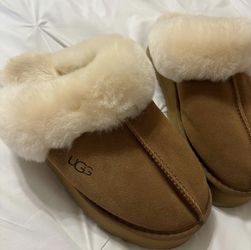 UGG Slippers