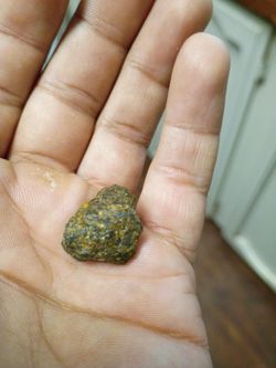 Meteorite collection