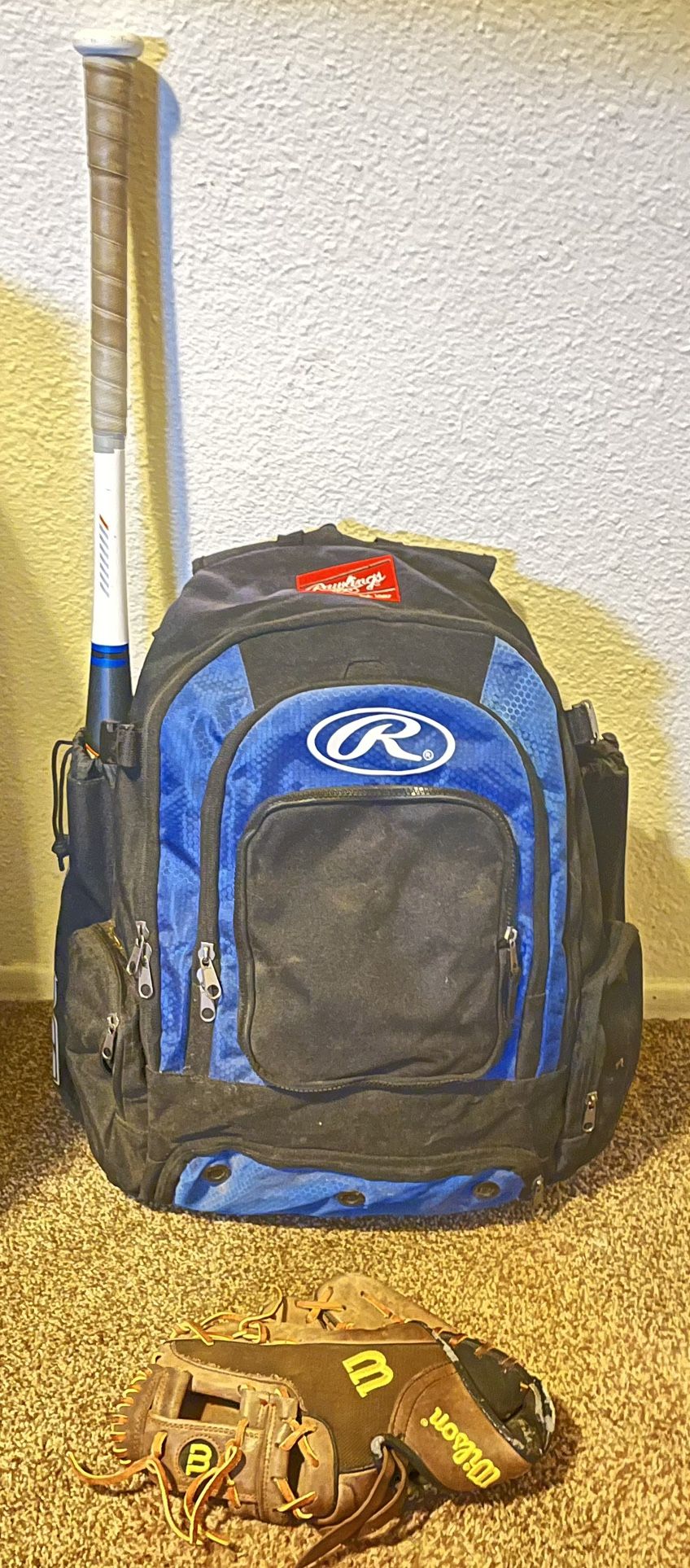 Baseball Bat//Baseball Bag