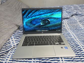 Unused 14-inch Silver HP Chromebook
