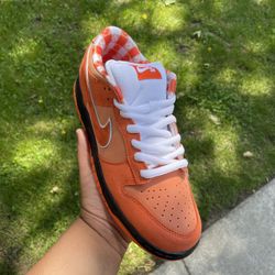 Nike Sb Dunk Orange lobster Size 11M 12M 13M