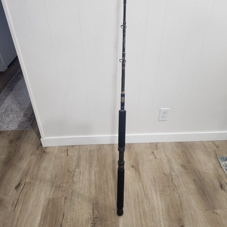 Fishing pole made by Fuji quality with Penn 310 GTI reel