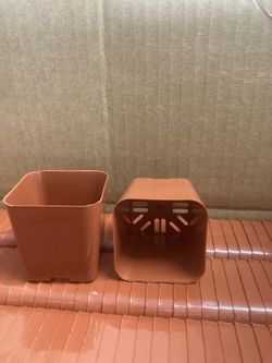 2 In Square Pots 100 Count