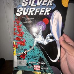 Silver Surfer 