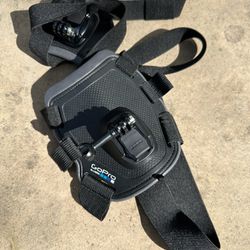 GoPro Dog Harness With Mount