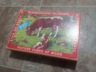 German Wooden Blocks Puzzle 