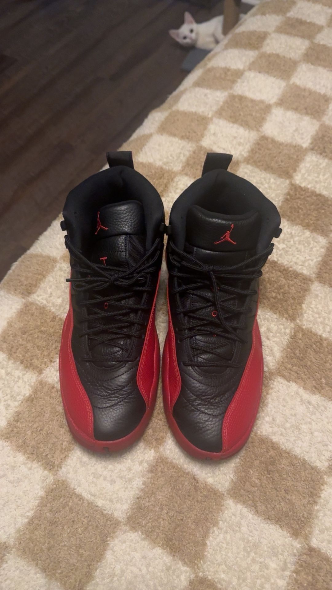 Jordan 12 Flu Game