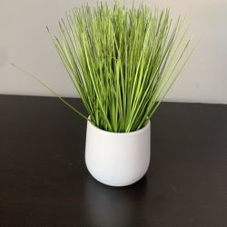 Faux Plant  (pick Up Oct 30, Moving Out)