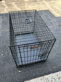 Foldable Travel Animal Crate