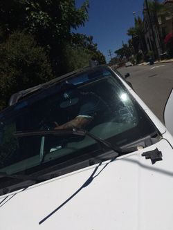 Need a new windshield ?