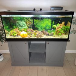 75 Gallon Tank And Stand
