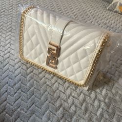 Aldo purse 