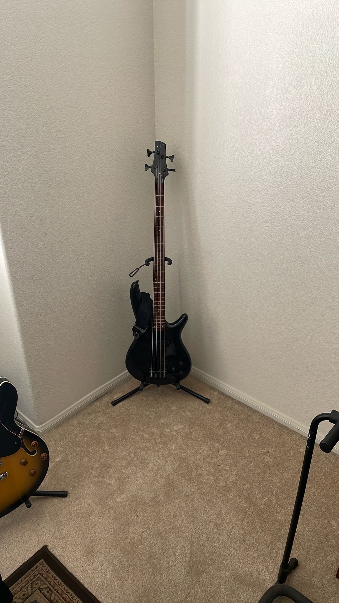 Two Bass,One Hollow Body And Two Amps