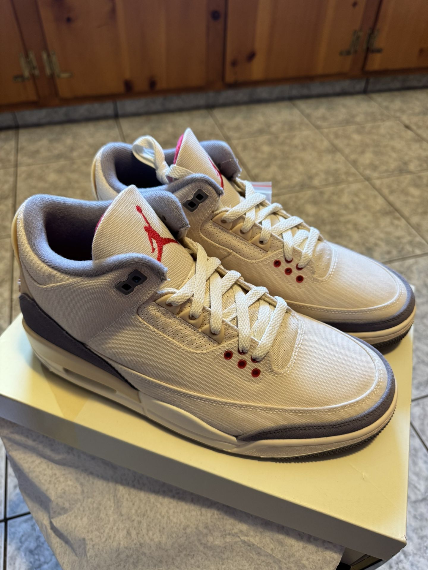 Air Jordan 3 Retro SE