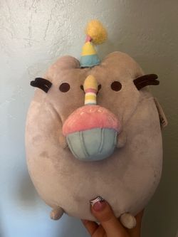 Pusheen plushy
