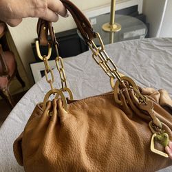 Beautiful juicy purse