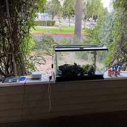 Aquarium With Accessories 
