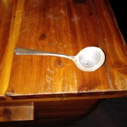 Silver Spoon