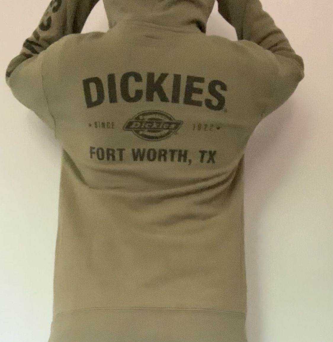 Dickies hoodie