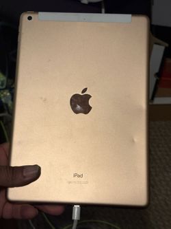 Apple iPad Gold Aluminum Tablet