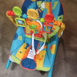 Baby Bouncer